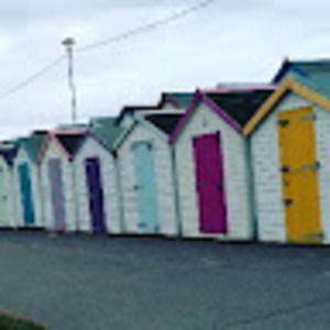 Meet your Posher, Paddy